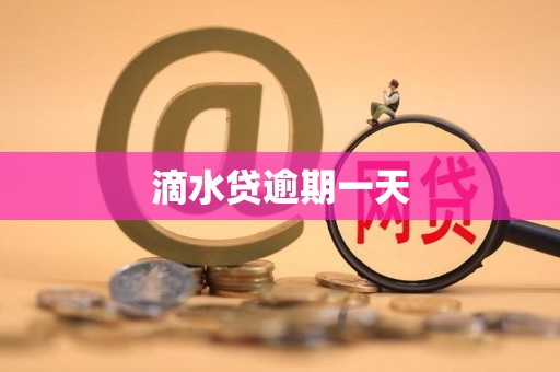 滴水貸逾期一天遭遇金融機構委托 解析其影響與應對策略